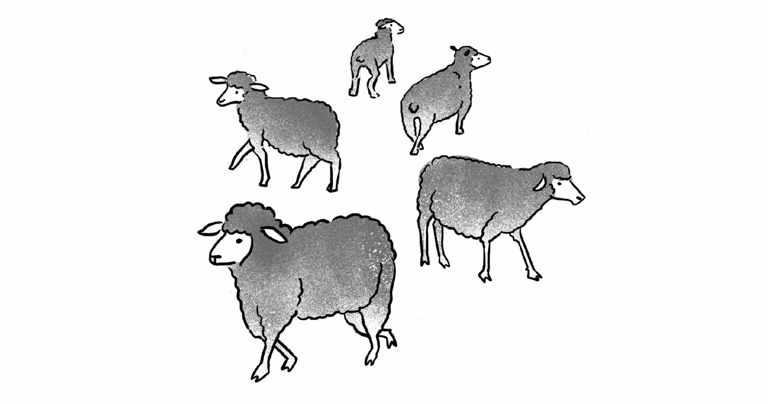 Thumbnail of Directing the Herd