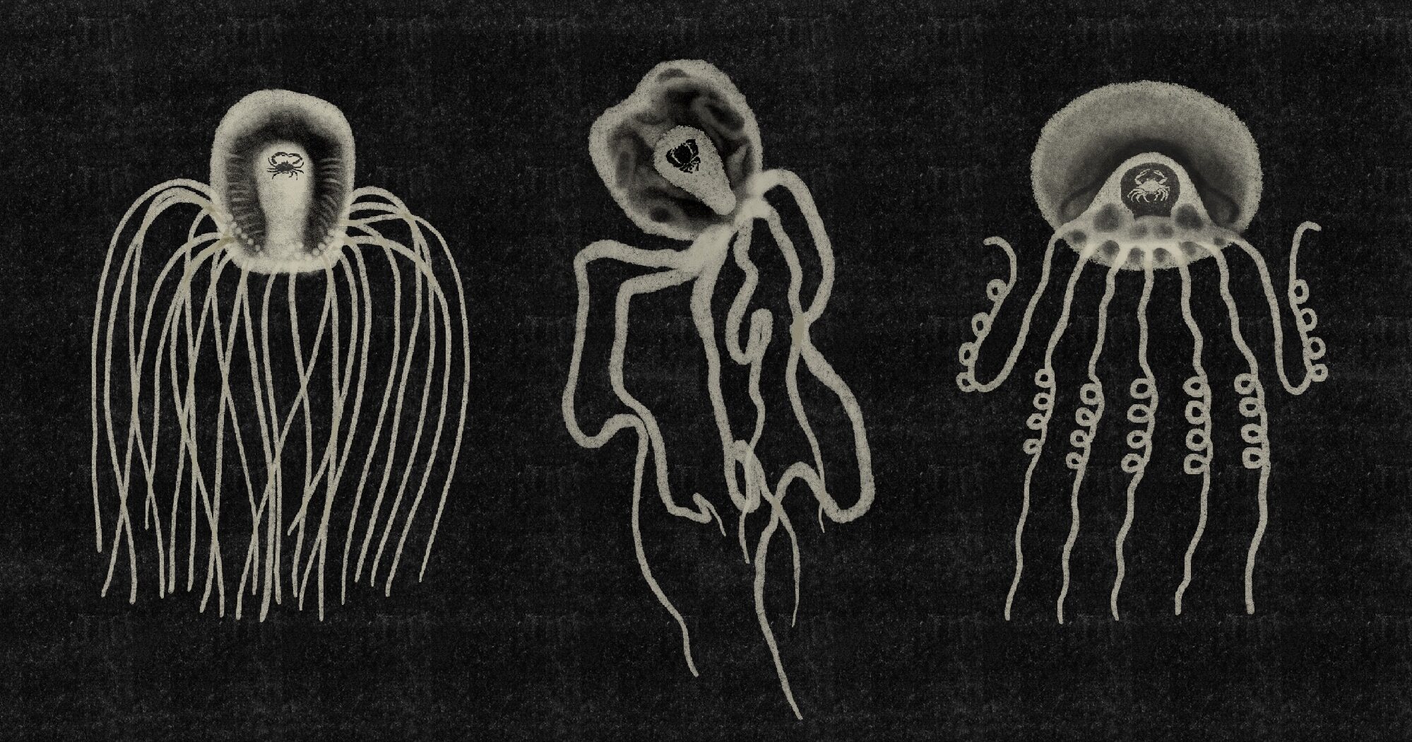 Travel, Goals, Experiments